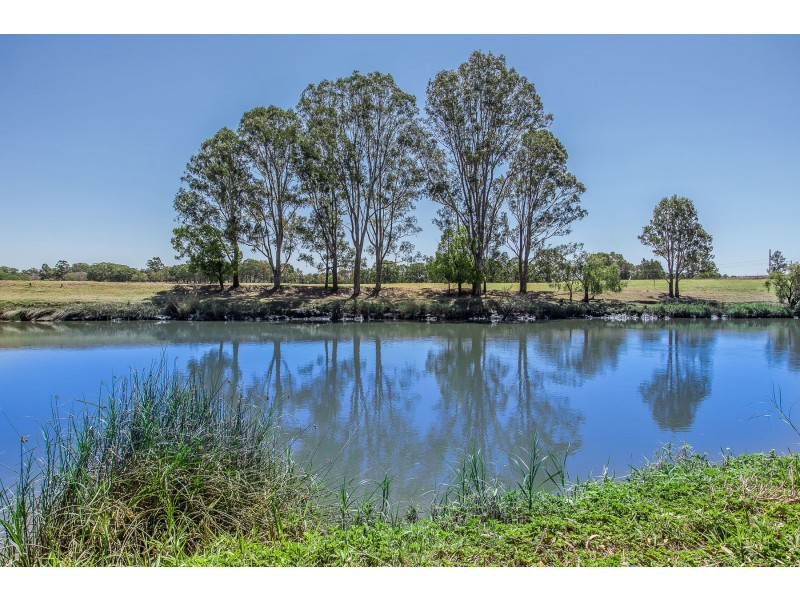 53 Turquoise Street, Bethania QLD 4205