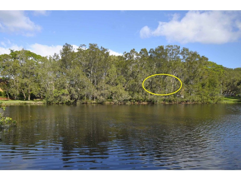 3/547 Gold Coast Highway, Tugun QLD 4224