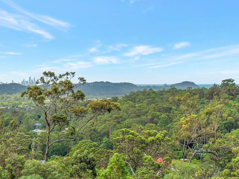 Elanora QLD 4221