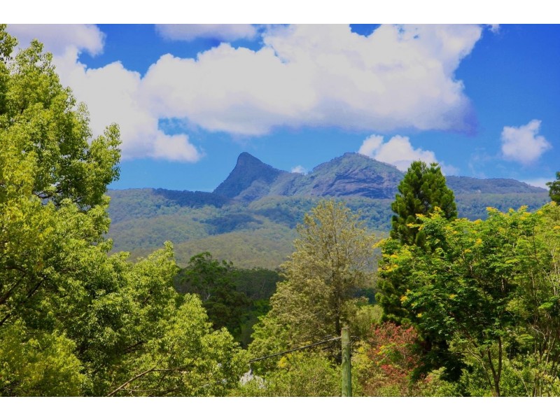 7 Cudrigan Street, Tyalgum NSW 2484