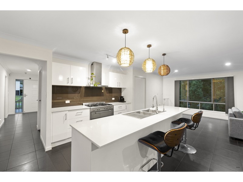 4 Pitta Court, Gilston QLD 4211