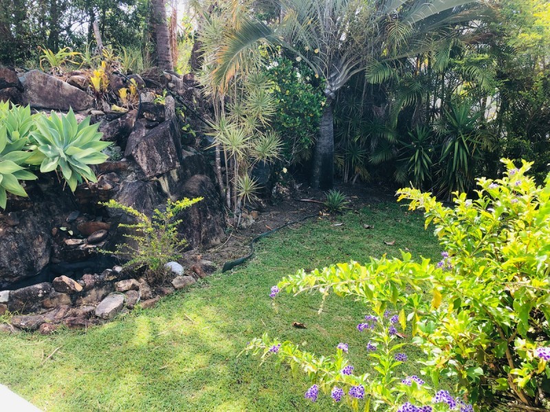 Elanora QLD 4221
