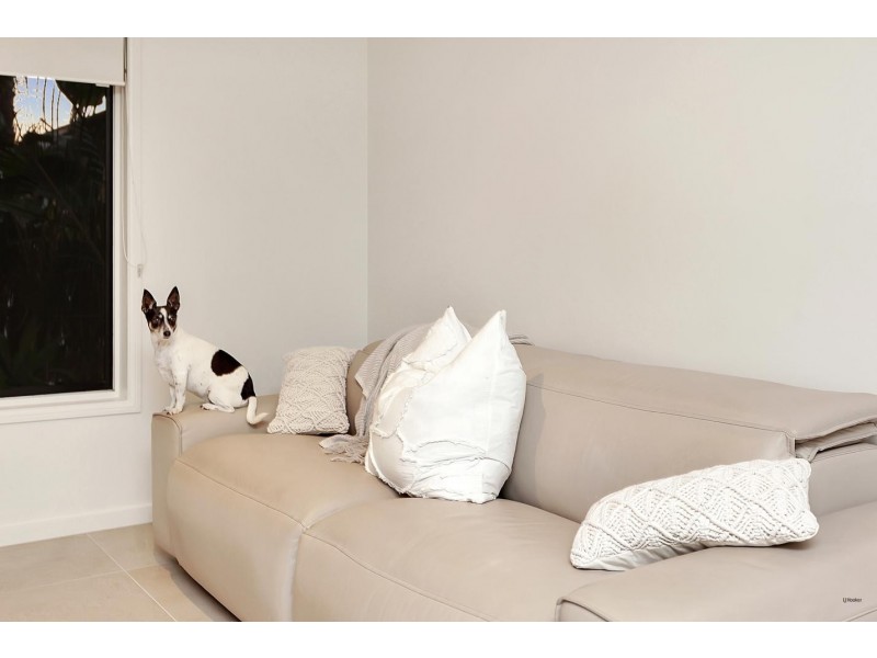 11 Tatha Avenue, Palm Beach QLD 4221