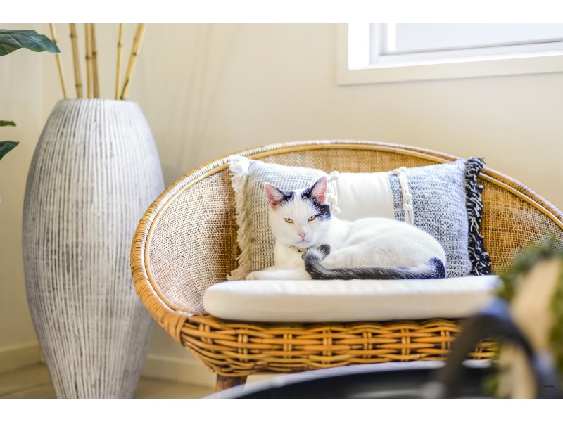 35 Twenty Fifth Avenue, Palm Beach QLD 4221