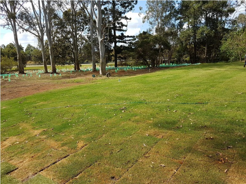 118-120 Springlands Drive, Slacks Creek QLD 4127