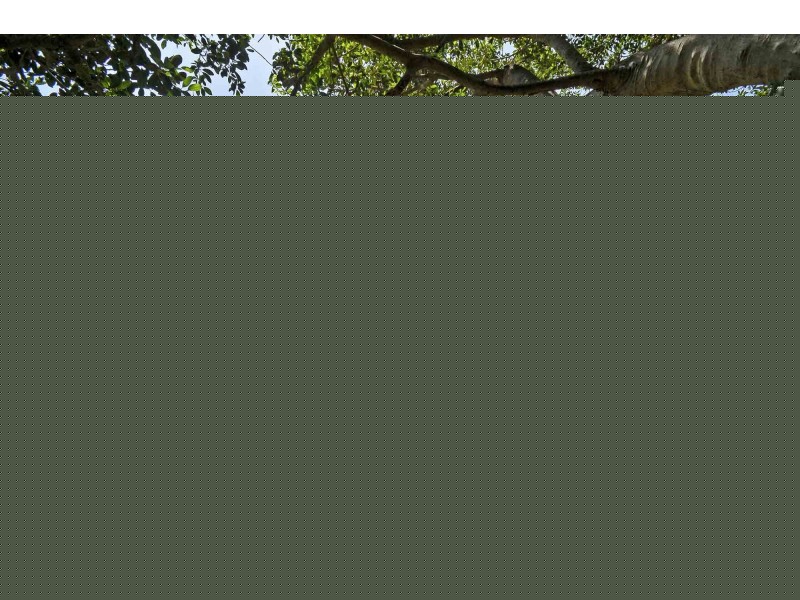 1/17 Atkin Street, Tugun QLD 4224