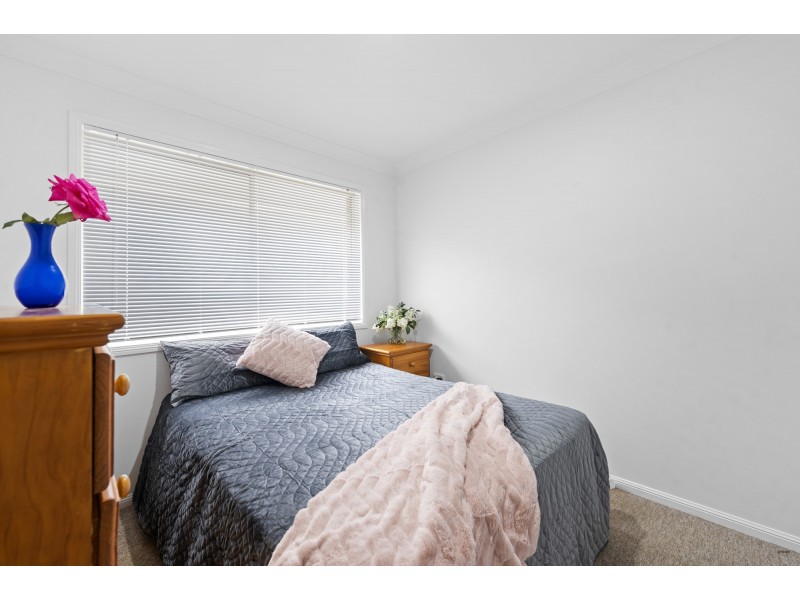 17 Shamrock Avenue, Banora Point NSW 2486