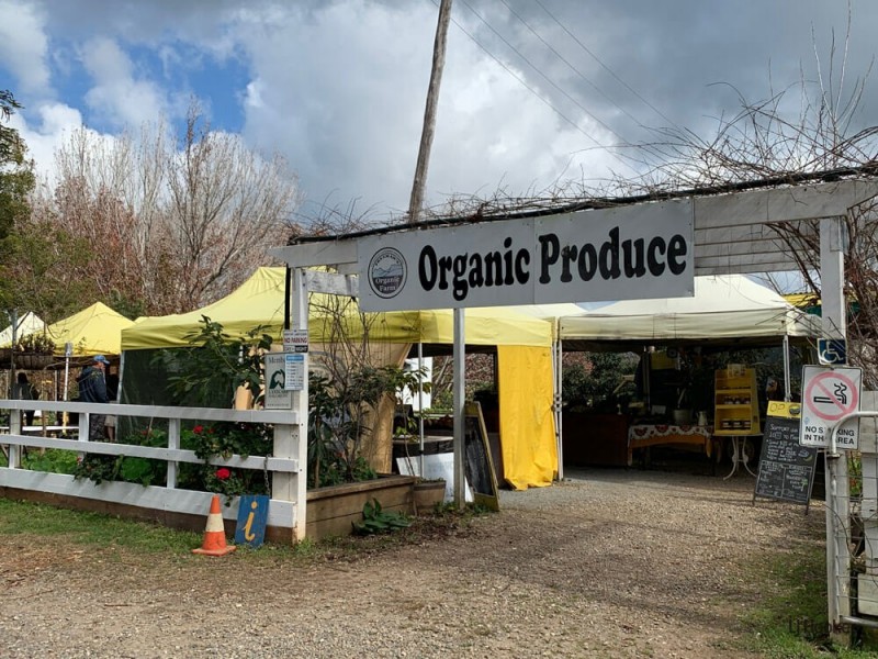 1383 Currumbin Creek Road, Currumbin Valley QLD 4223