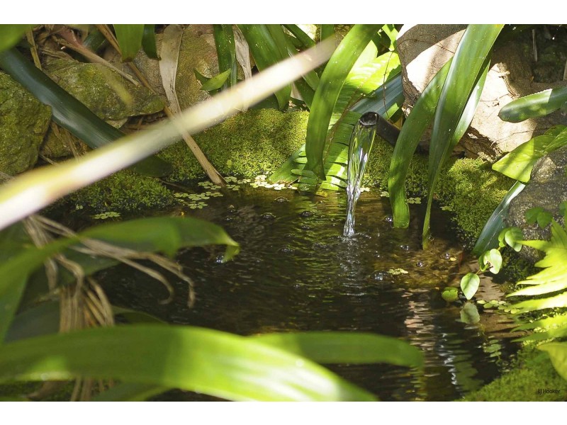 25 Domain Road, Currumbin QLD 4223