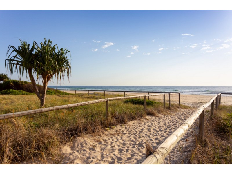 3/1449 Gold Coast Highway, Palm Beach QLD 4221