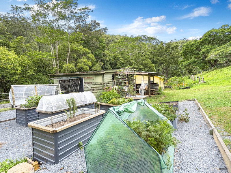 1488 Currumbin Creek Road, Currumbin Valley QLD 4223