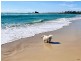 8E/969 Gold Coast Highway, Palm Beach QLD 4221