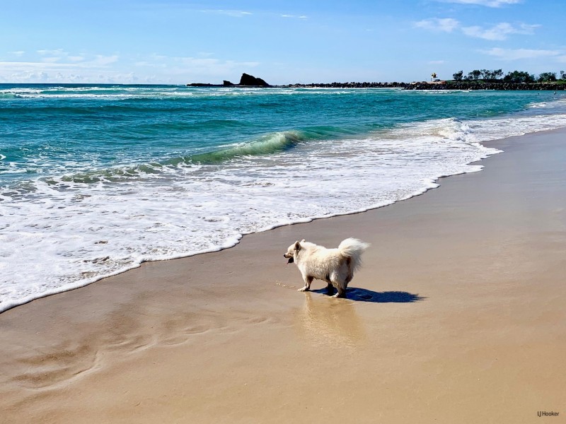 8E/969 Gold Coast Highway, Palm Beach QLD 4221