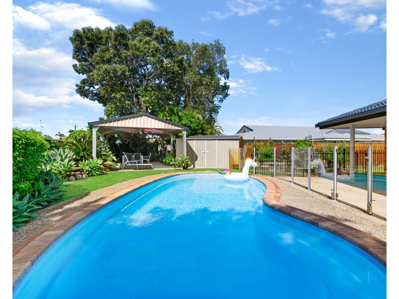 10 Celtis Court, Palm Beach QLD 4221
