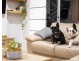 167 Mallawa Drive, Palm Beach QLD 4221