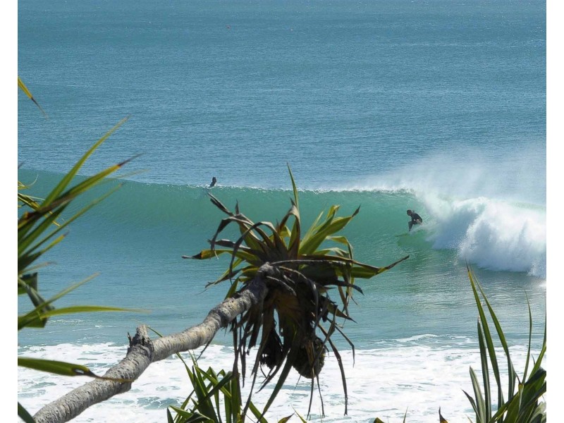 5 Quoll Close, Burleigh Heads QLD 4220