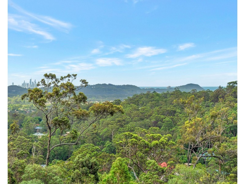 Elanora QLD 4221