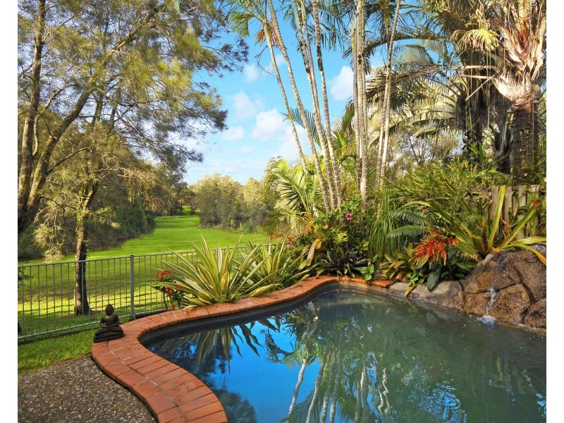 20 Hydrilla Court, Elanora QLD 4221