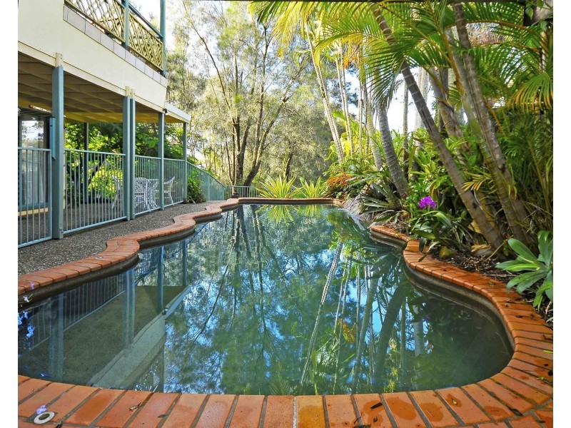 20 Hydrilla Court, Elanora QLD 4221