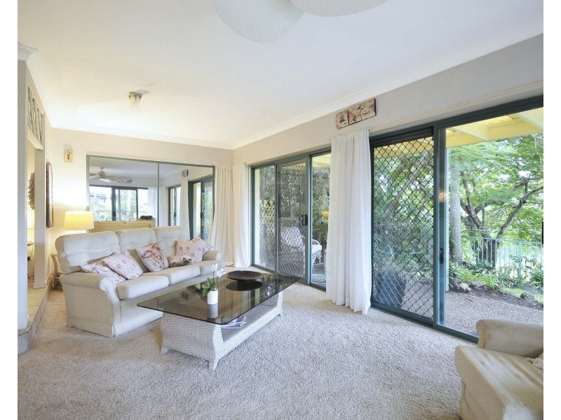 20 Hydrilla Court, Elanora QLD 4221