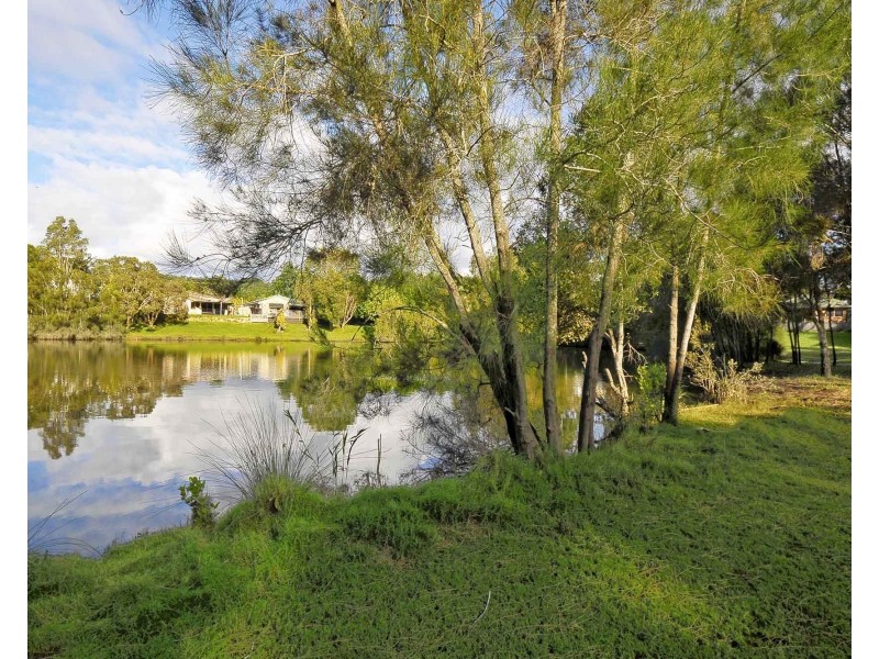 20 Hydrilla Court, Elanora QLD 4221