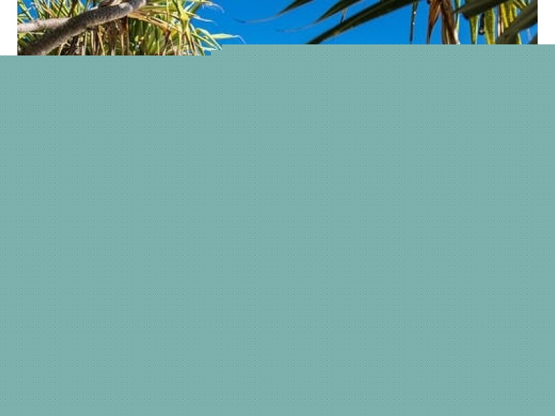 1/31 Third Avenue, Palm Beach QLD 4221