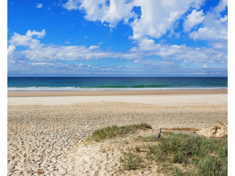 5/14 Twenty Sixth Avenue, Palm Beach QLD 4221