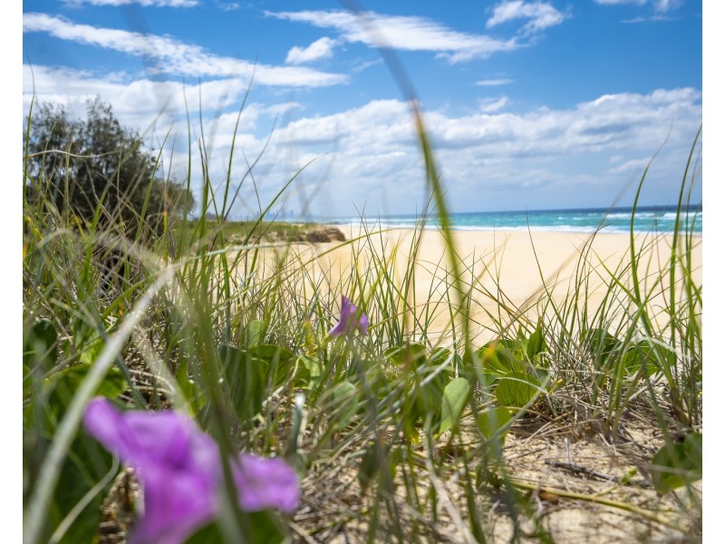 24 Rosewater Crescent, Tugun QLD 4224