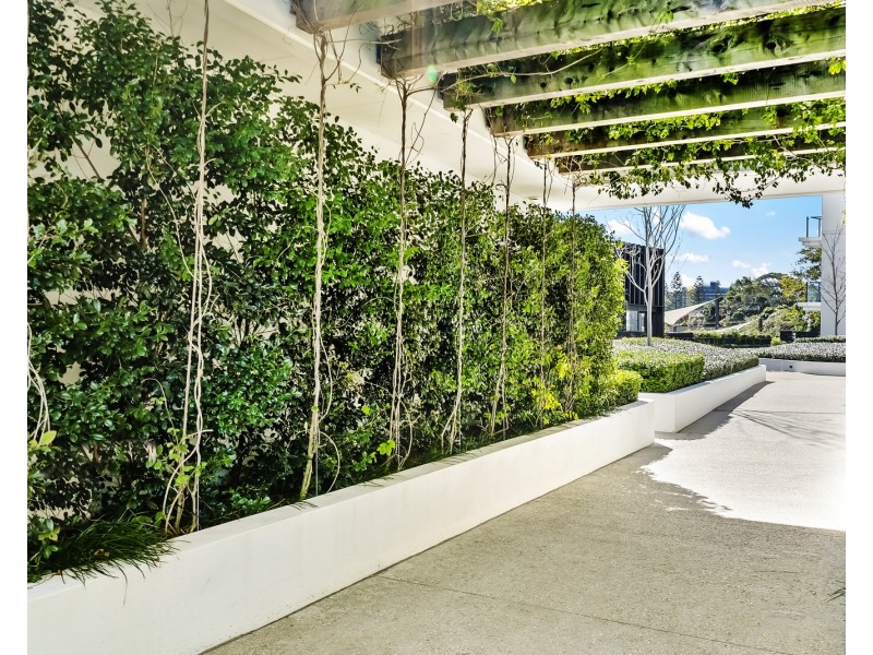 2509/1328 Gold Coast Highway, Palm Beach QLD 4221