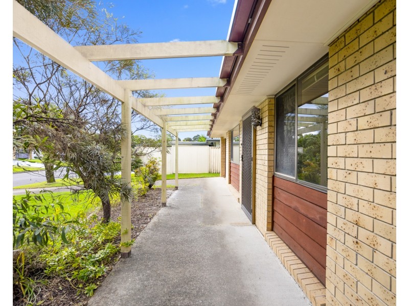 8 Matipo Place, Palm Beach QLD 4221