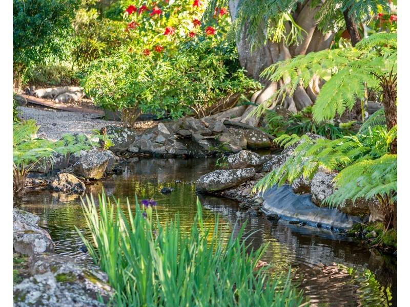 44/56-70 Guineas Creek Road, Currumbin Waters QLD 4223
