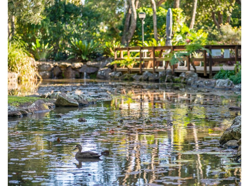 44/56-70 Guineas Creek Road, Currumbin Waters QLD 4223