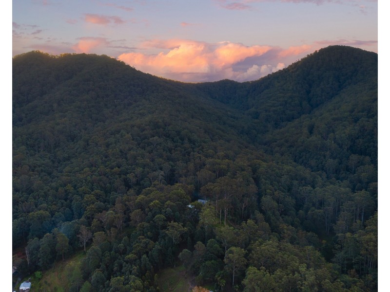79 Dalton Road, Tallebudgera Valley QLD 4228