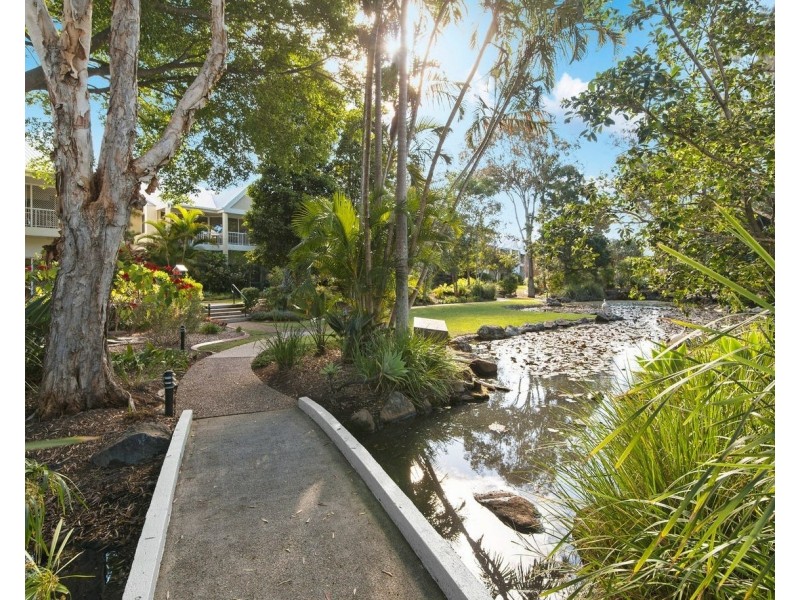 19/56-70 Guineas Creek Road, Currumbin Waters QLD 4223