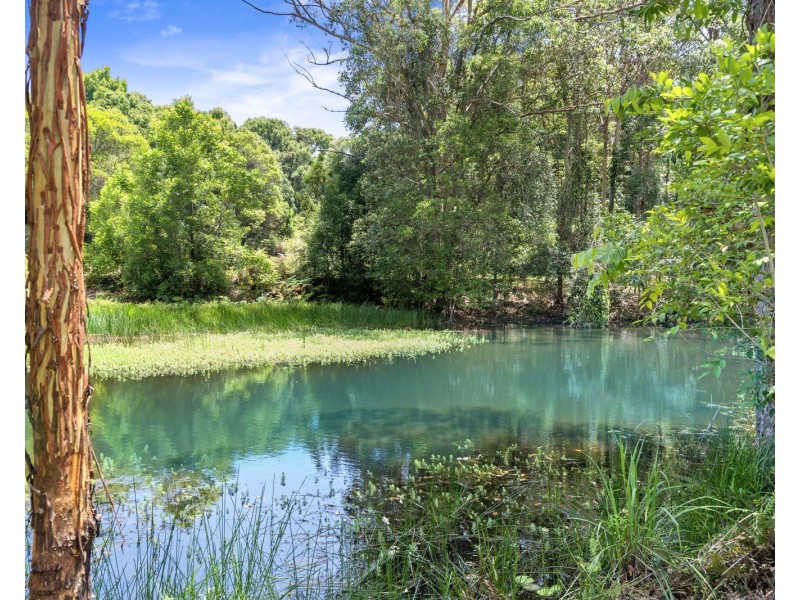 96 Nolans Road, Stokers Siding NSW 2484