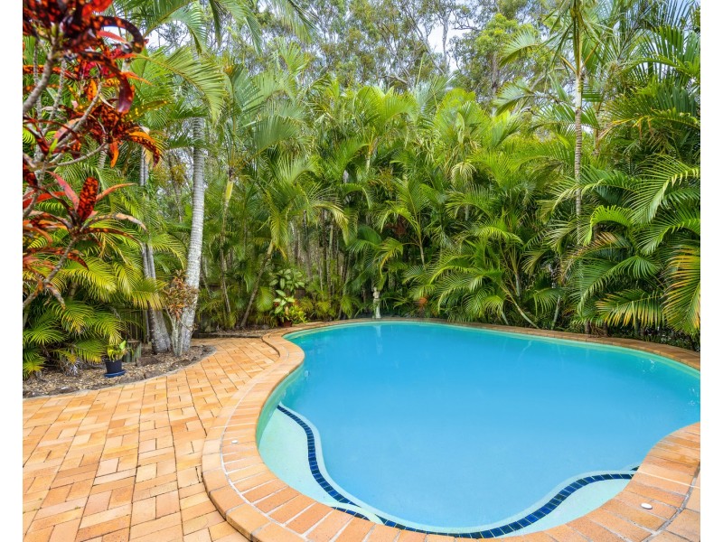 54 Monash Street, Tugun QLD 4224