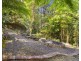 10 Tolima Drive, Tamborine Mountain QLD 4272