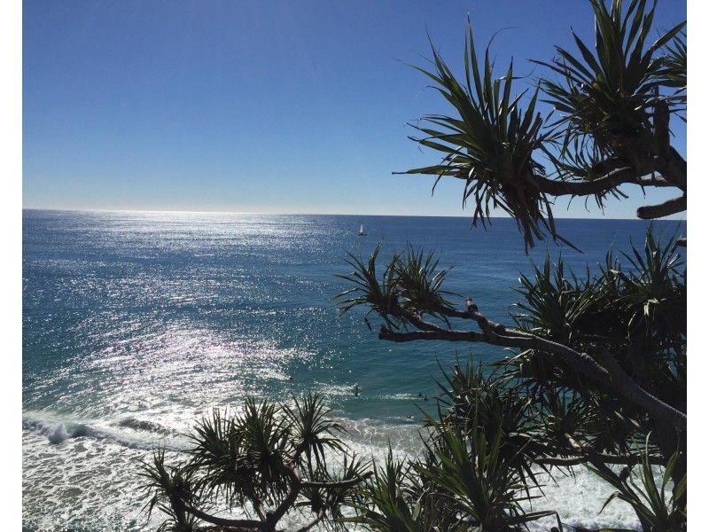 11 Balsa Street, Elanora QLD 4221