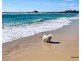 205/88 Jefferson Lane, Palm Beach QLD 4221