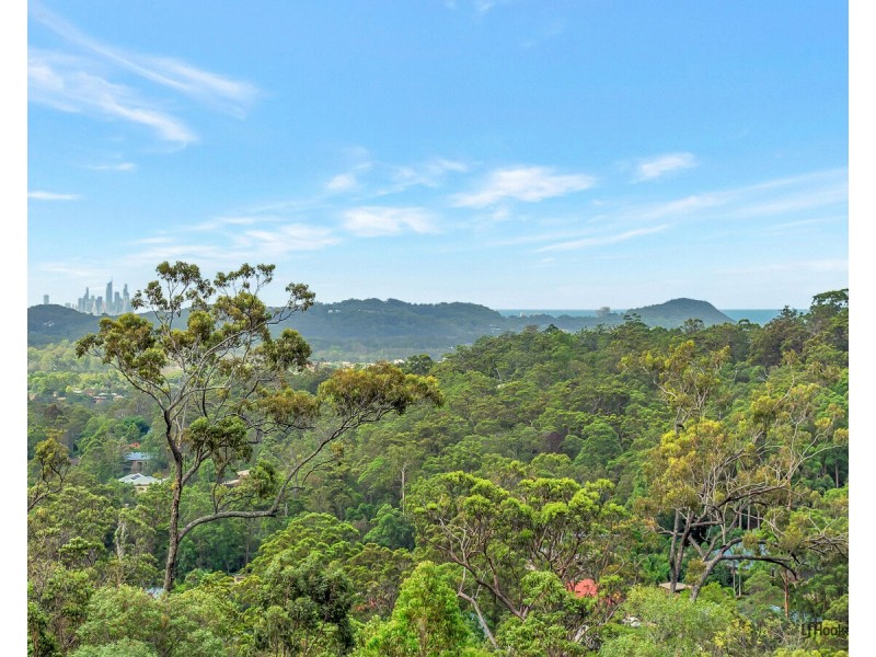 Elanora QLD 4221