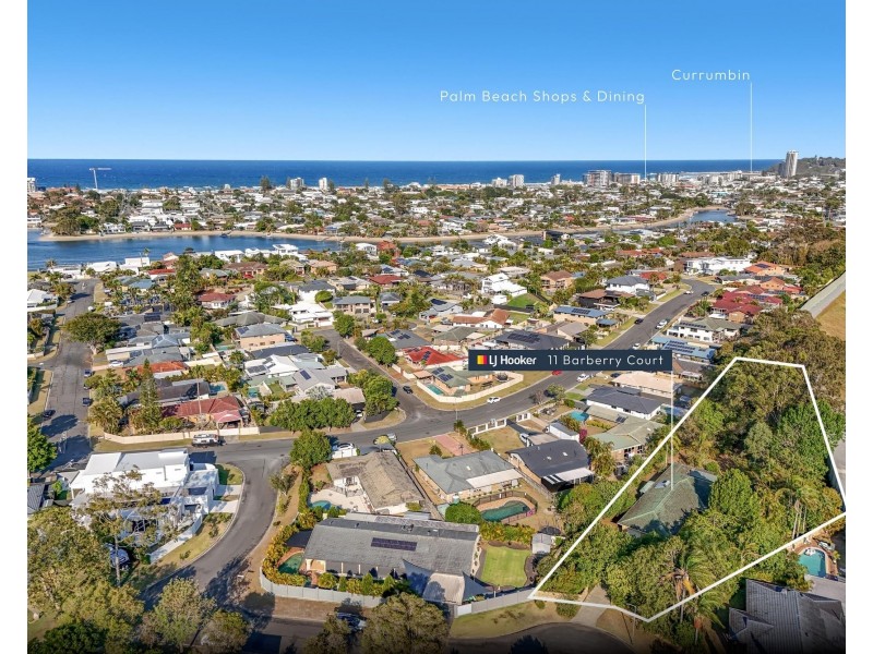11 Barberry Court, Palm Beach QLD 4221