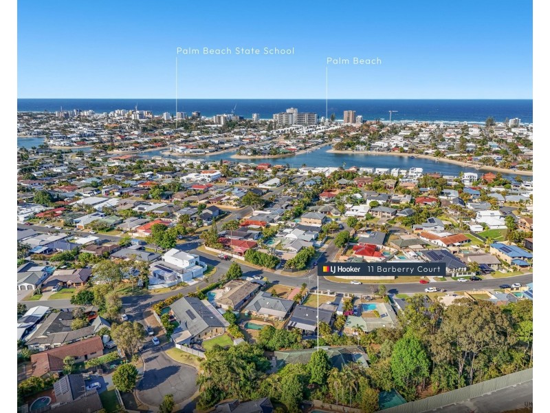 11 Barberry Court, Palm Beach QLD 4221