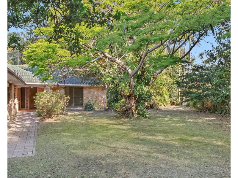 11 Barberry Court, Palm Beach QLD 4221