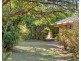 11 Barberry Court, Palm Beach QLD 4221