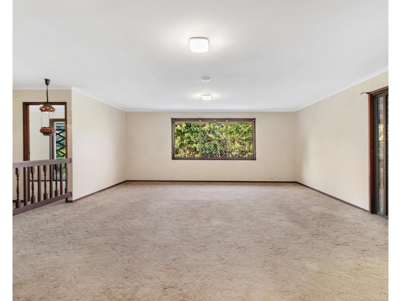 11 Barberry Court, Palm Beach QLD 4221