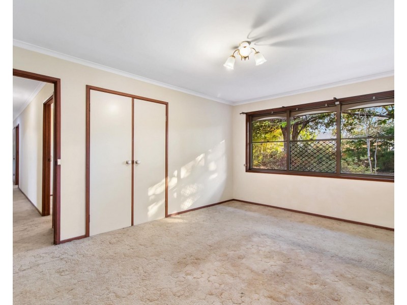 11 Barberry Court, Palm Beach QLD 4221