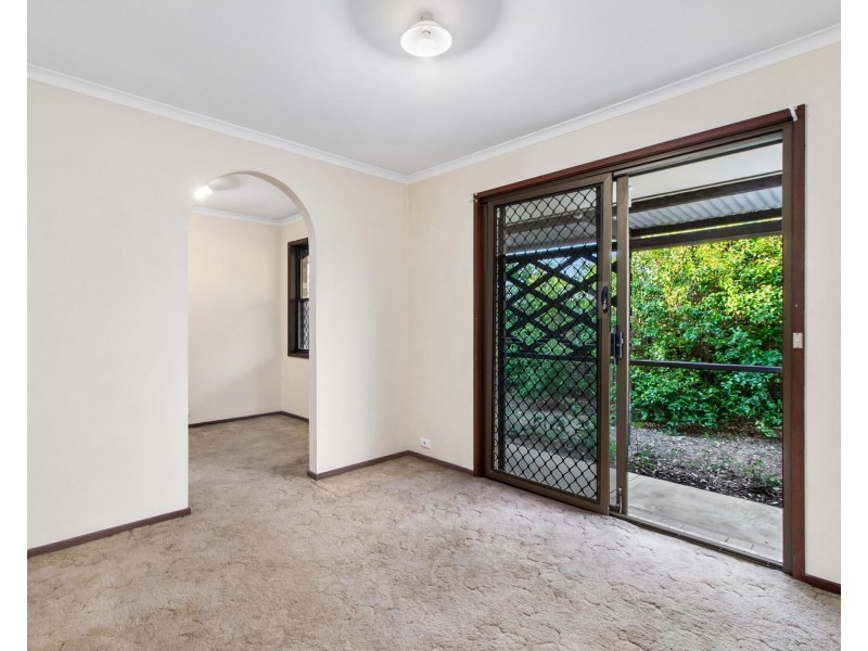 11 Barberry Court, Palm Beach QLD 4221