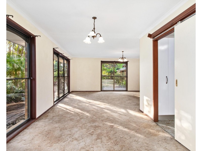 11 Barberry Court, Palm Beach QLD 4221
