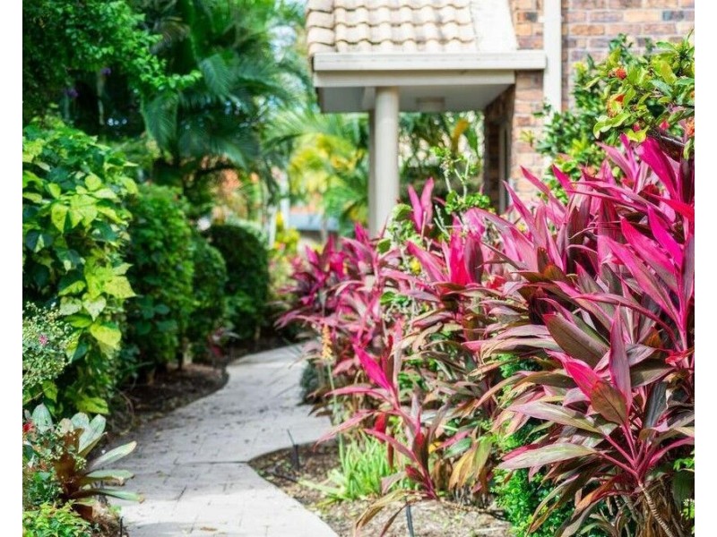 20/9 Ocean Street, Coolangatta QLD 4225