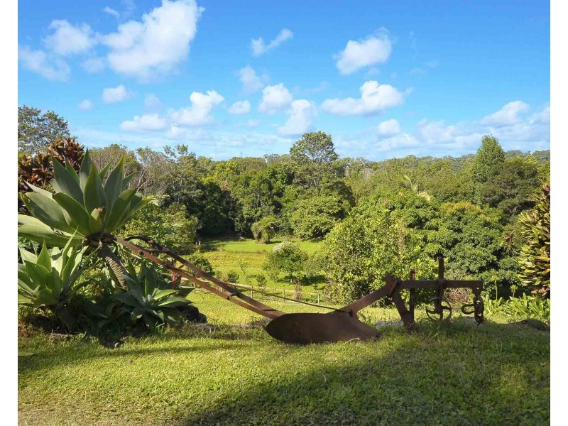 50 Dungogie Drive, Tallebudgera QLD 4228